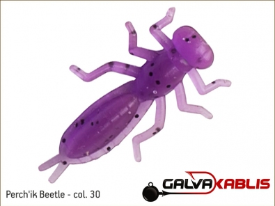Perchik Beetle - col 30