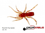 Perchik Tiny Spider col 34